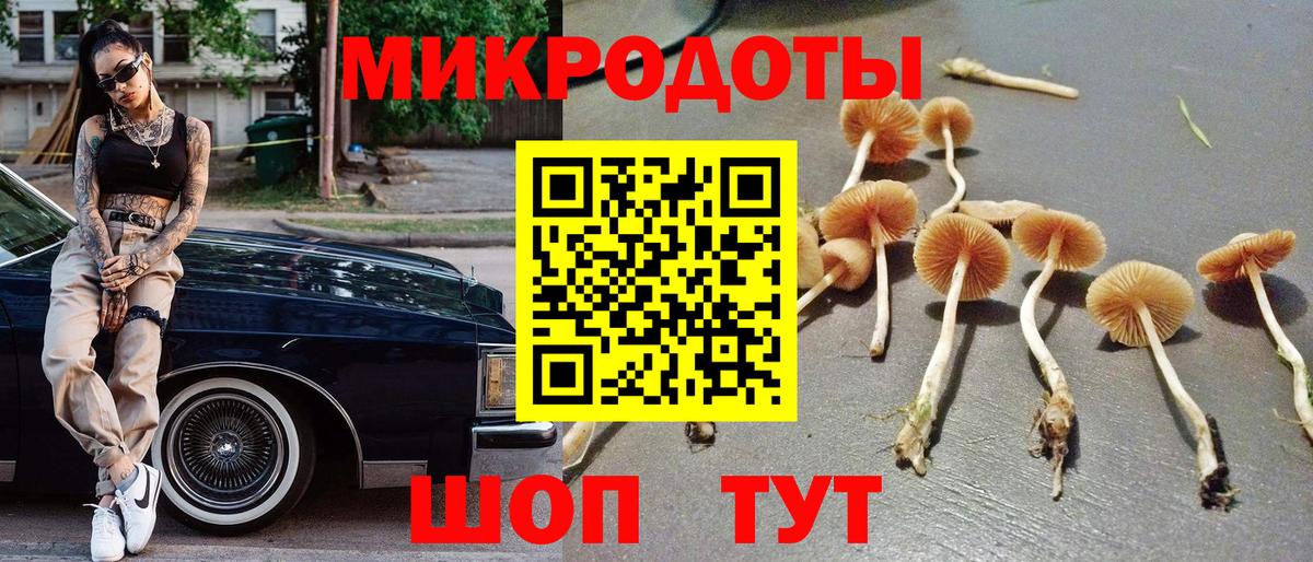 Нижнеудинск  наркотики  Галлюциногенные грибы прущие грибы  Вход с VPN  Псилоцибиновые грибы мухоморы 